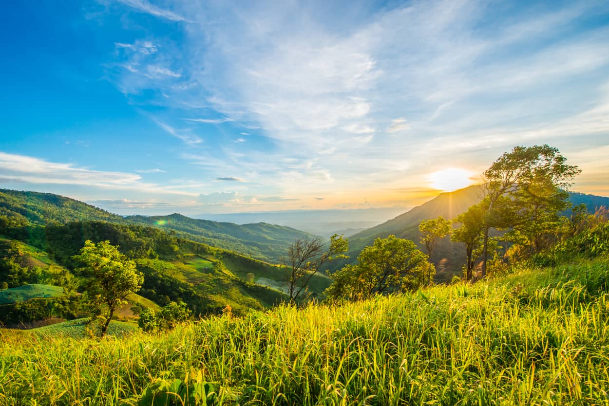 AdobeStock 249319268 (1)